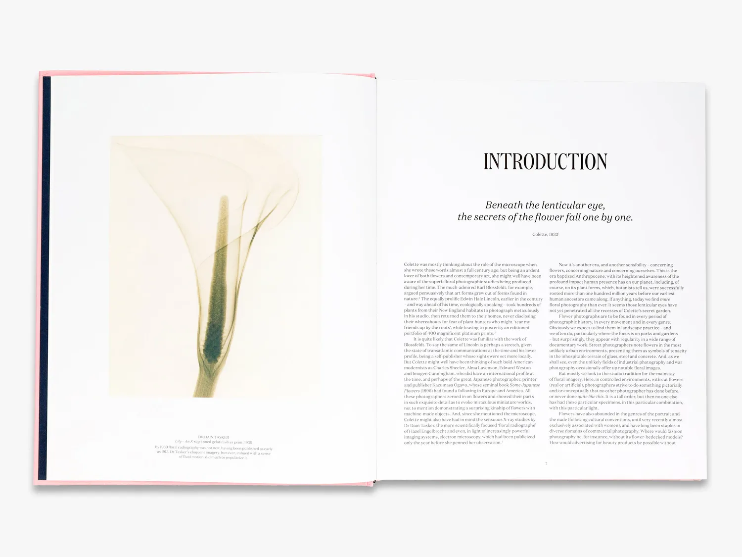 Thames & Hudson Flora Photographica fotobog blomster