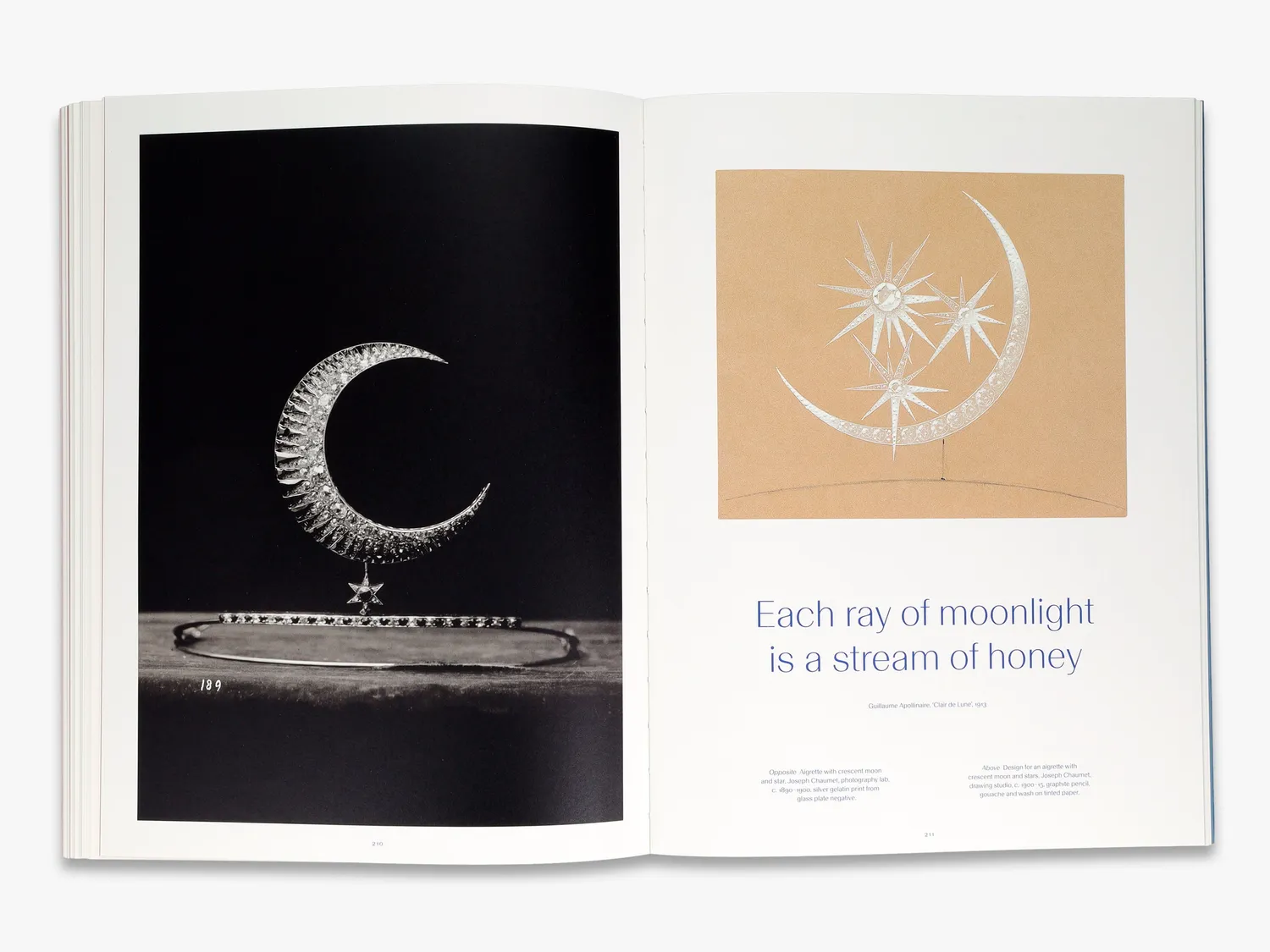Thames & Hudson Chaumet Drawing from Nature smykkebog