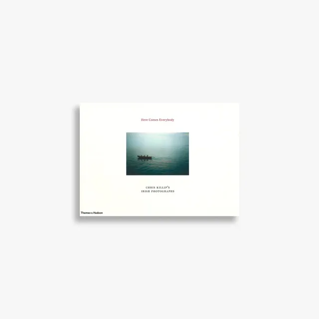 Thames & Hudson Here Comes Everybody fotobog farve