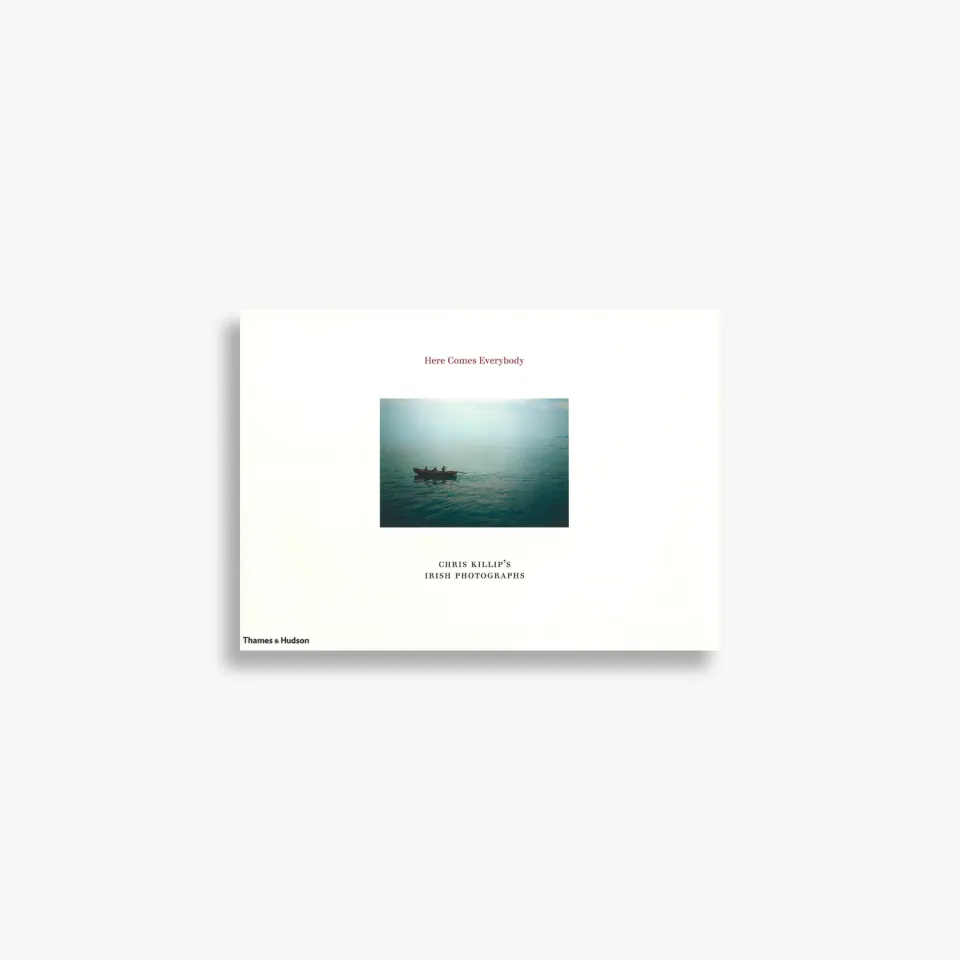 Thames & Hudson Here Comes Everybody fotobog farve