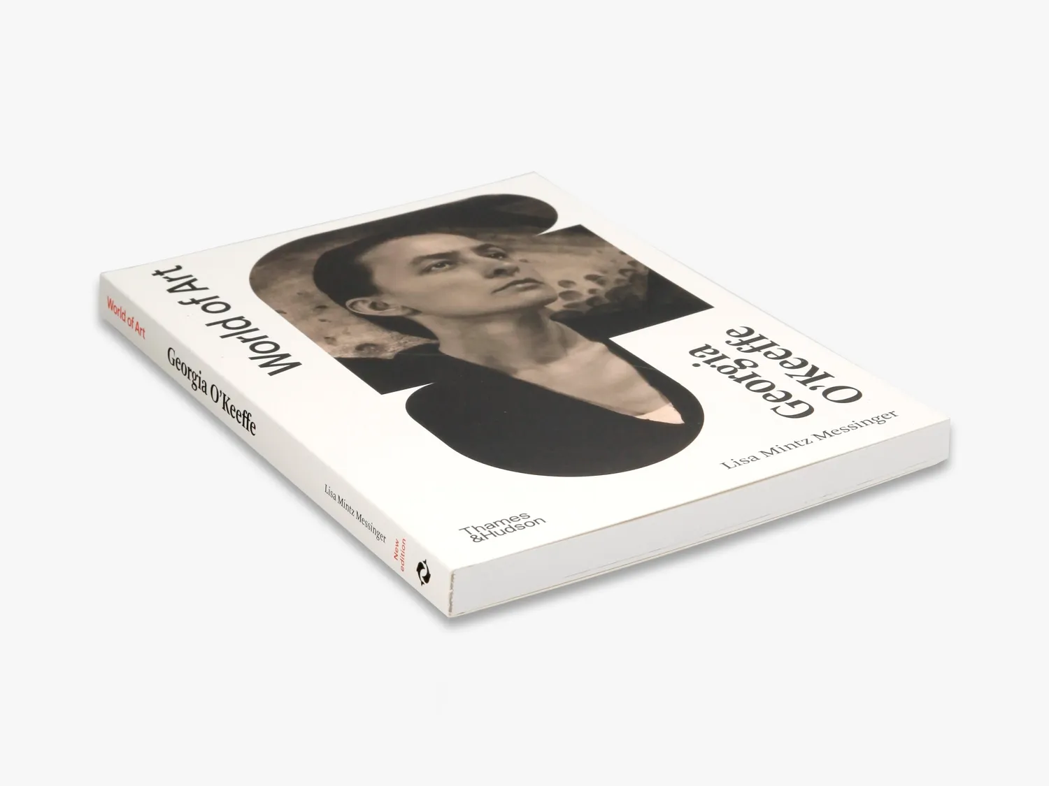 Thames & Hudson World of Art Georgia O’Keeffe fagbog
