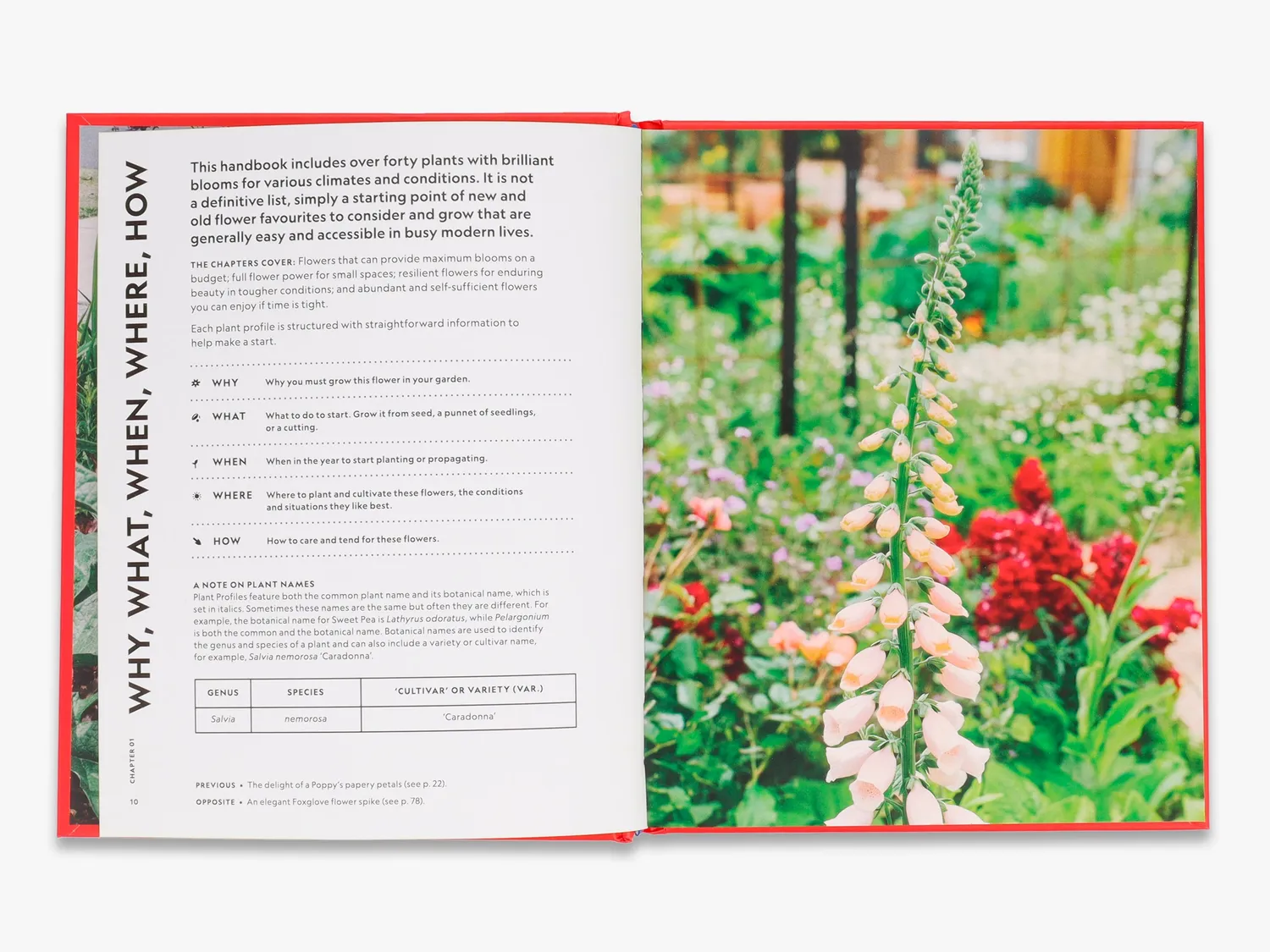 Thames & Hudson Super Bloom Handbook bog blomsterdyrkning