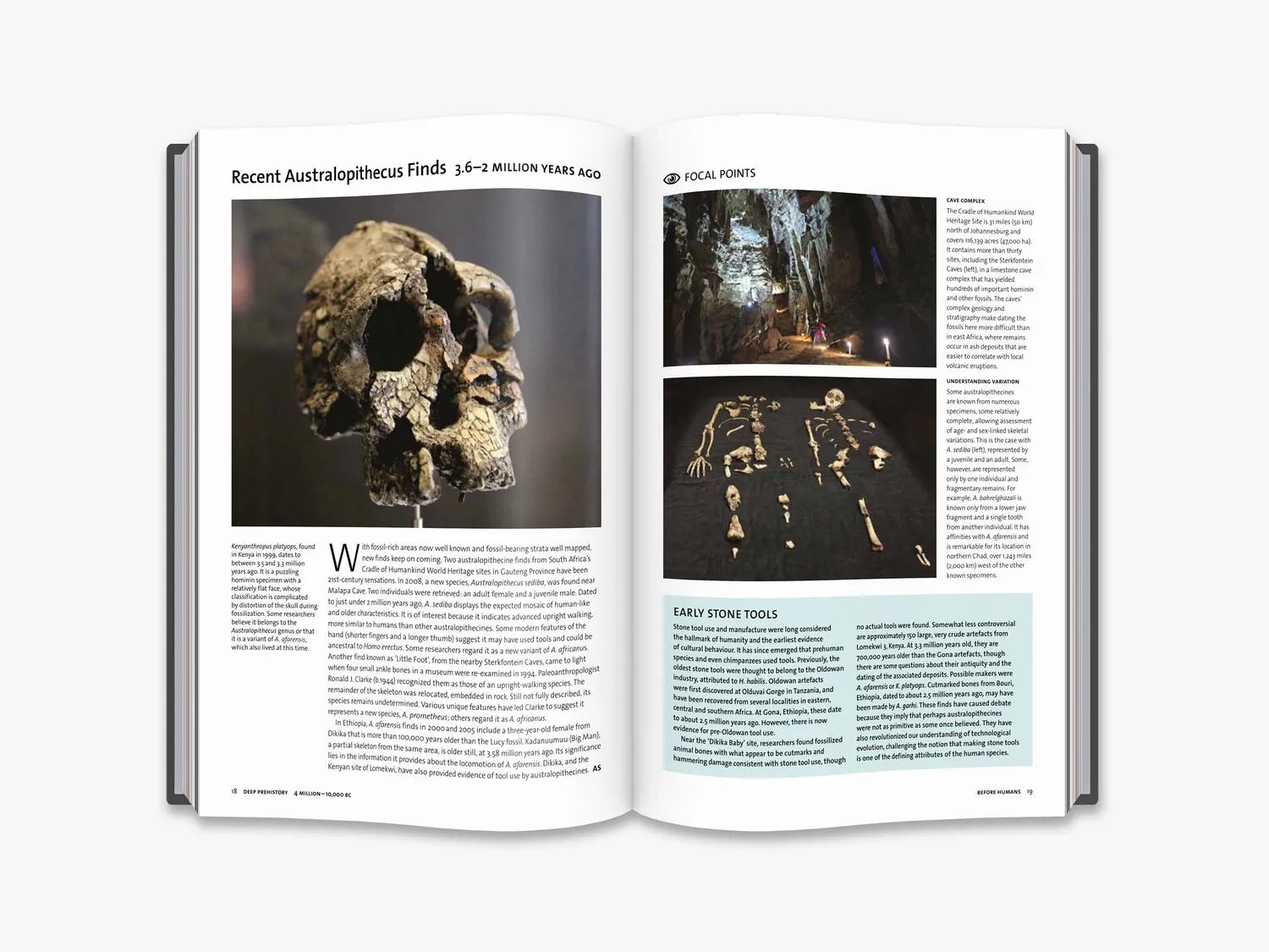 Thames & Hudson Archaeology Whole Story fagbog oldtiden