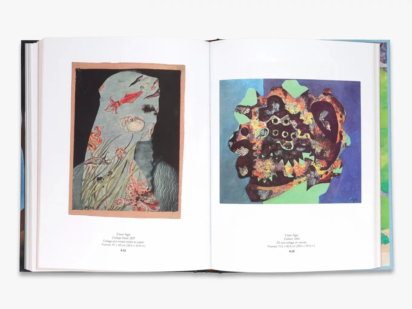 Thames & Hudson Forbidden Territories kunstbog om surrealisme