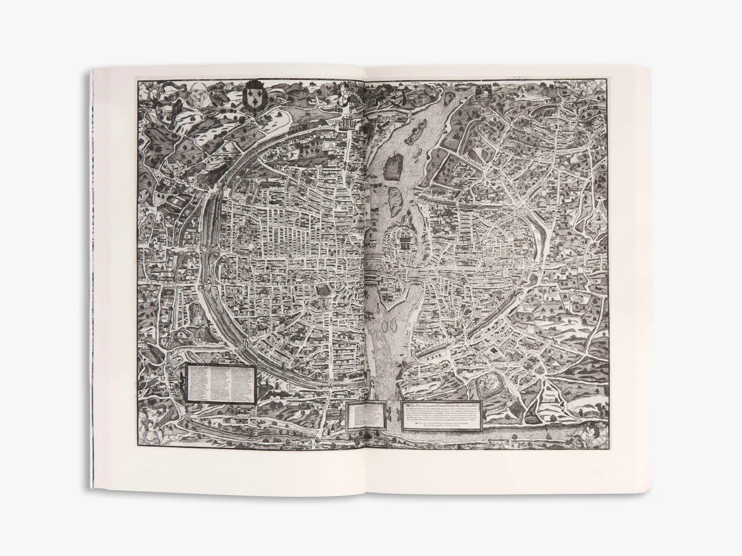 Thames & Hudson Paris bog om byens historie