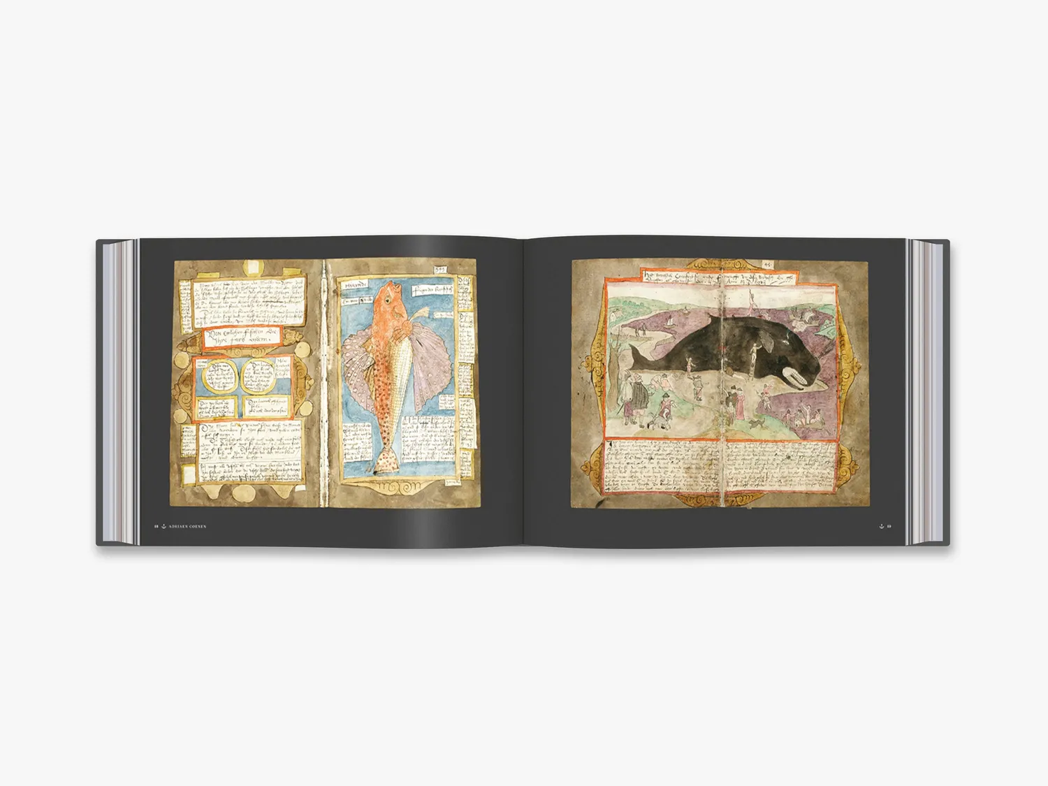 Thames & Hudson The Sea Journal historiebog rejser