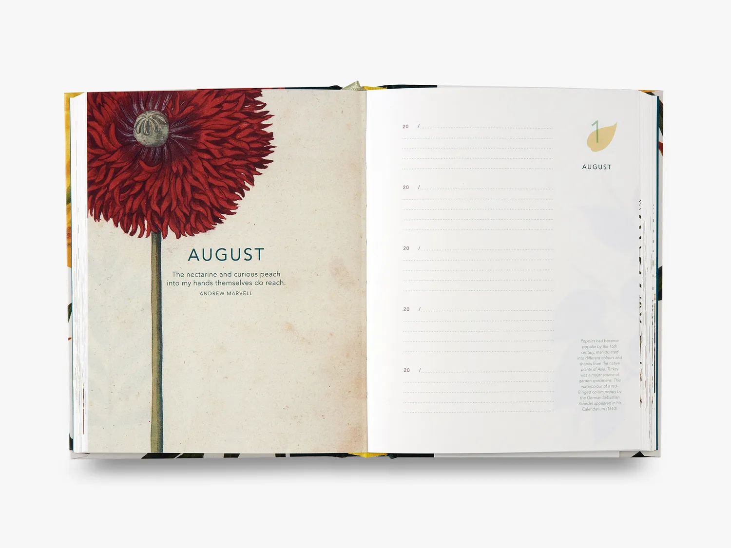 Thames & Hudson Remarkable Plants five-year journal notesbog