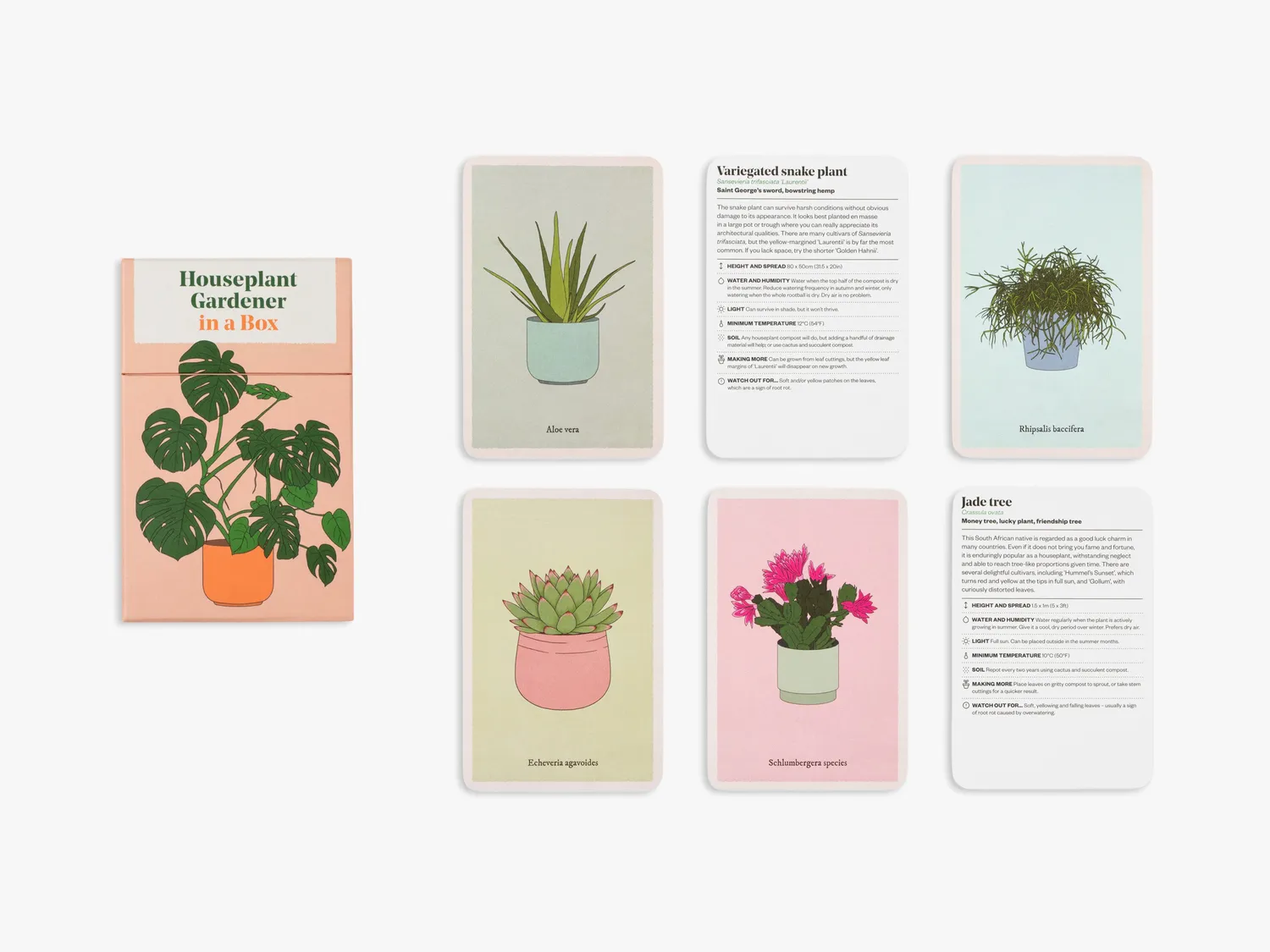Thames & Hudson Houseplant Gardener in a Box kortbox