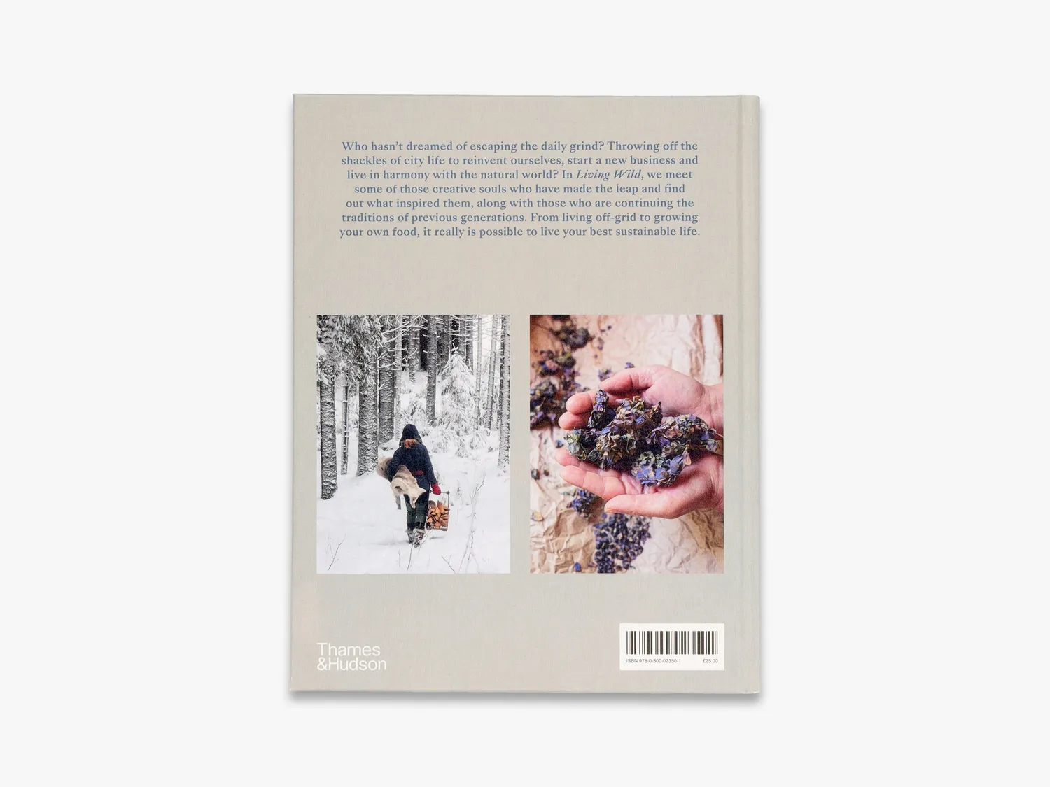 Thames & Hudson Living Wild boligbog off-grid illustreret