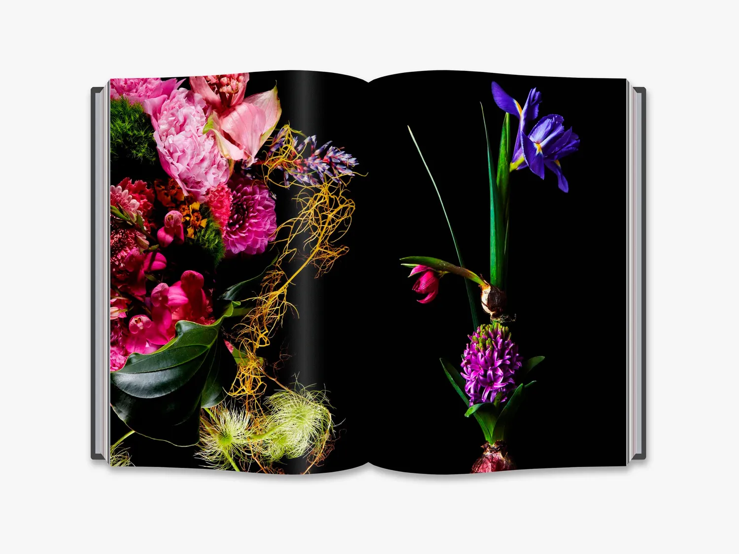 Thames & Hudson Flora Magnifica fotobog – blomster i årstider
