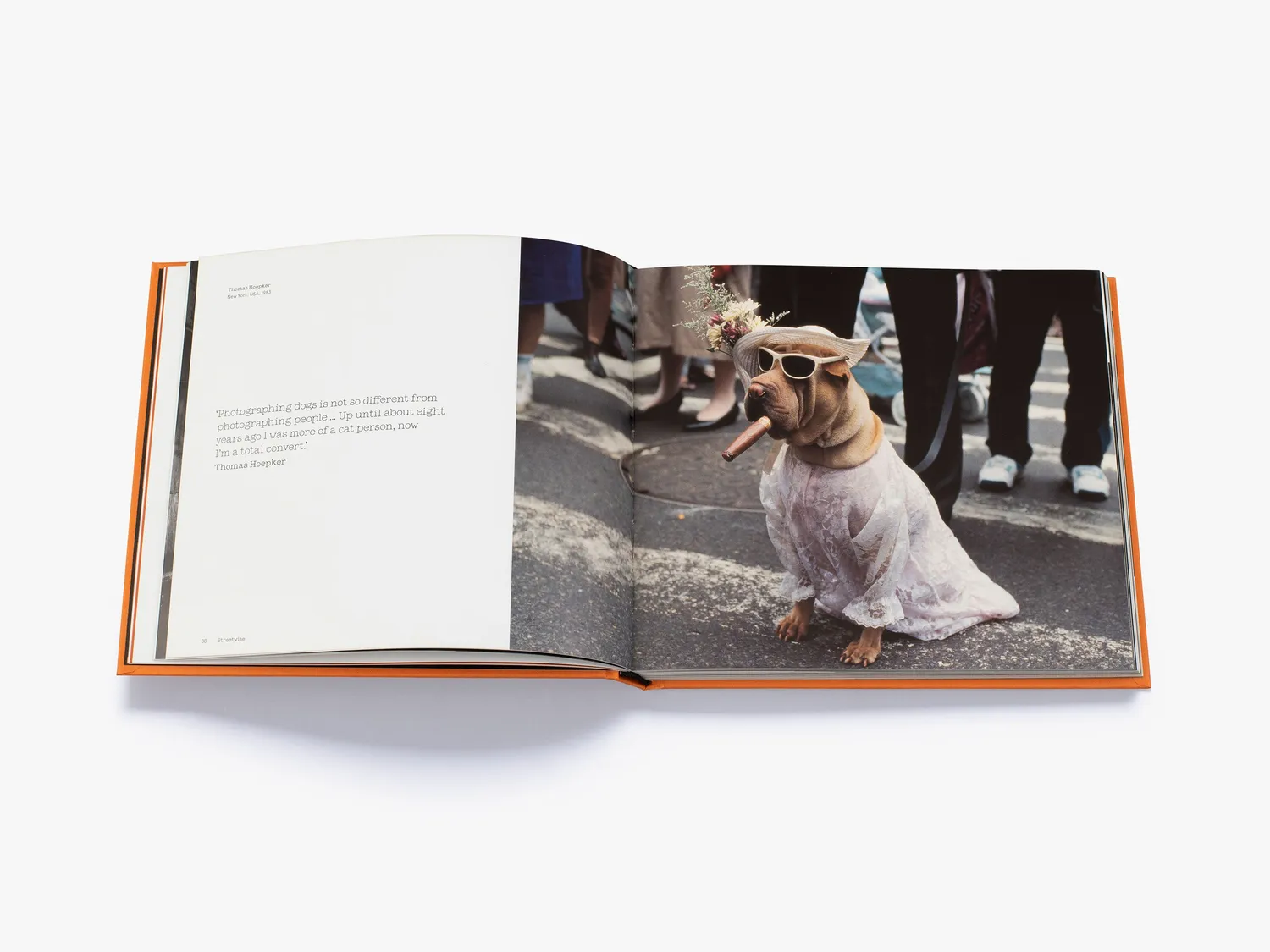 Thames & Hudson Magnum Dogs fotobog hundebilleder