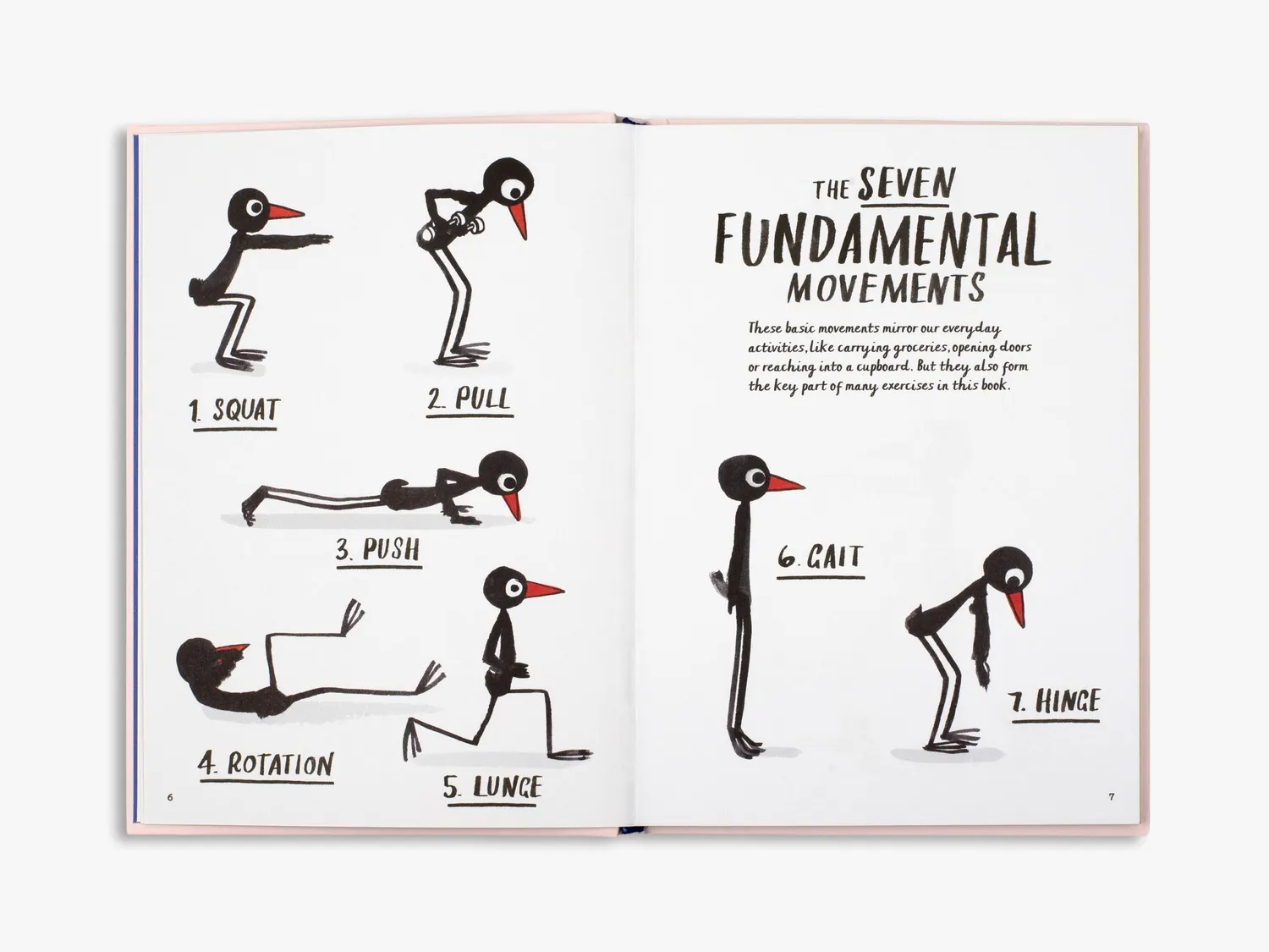 Thames & Hudson How to be a Fit Bird bog fitness