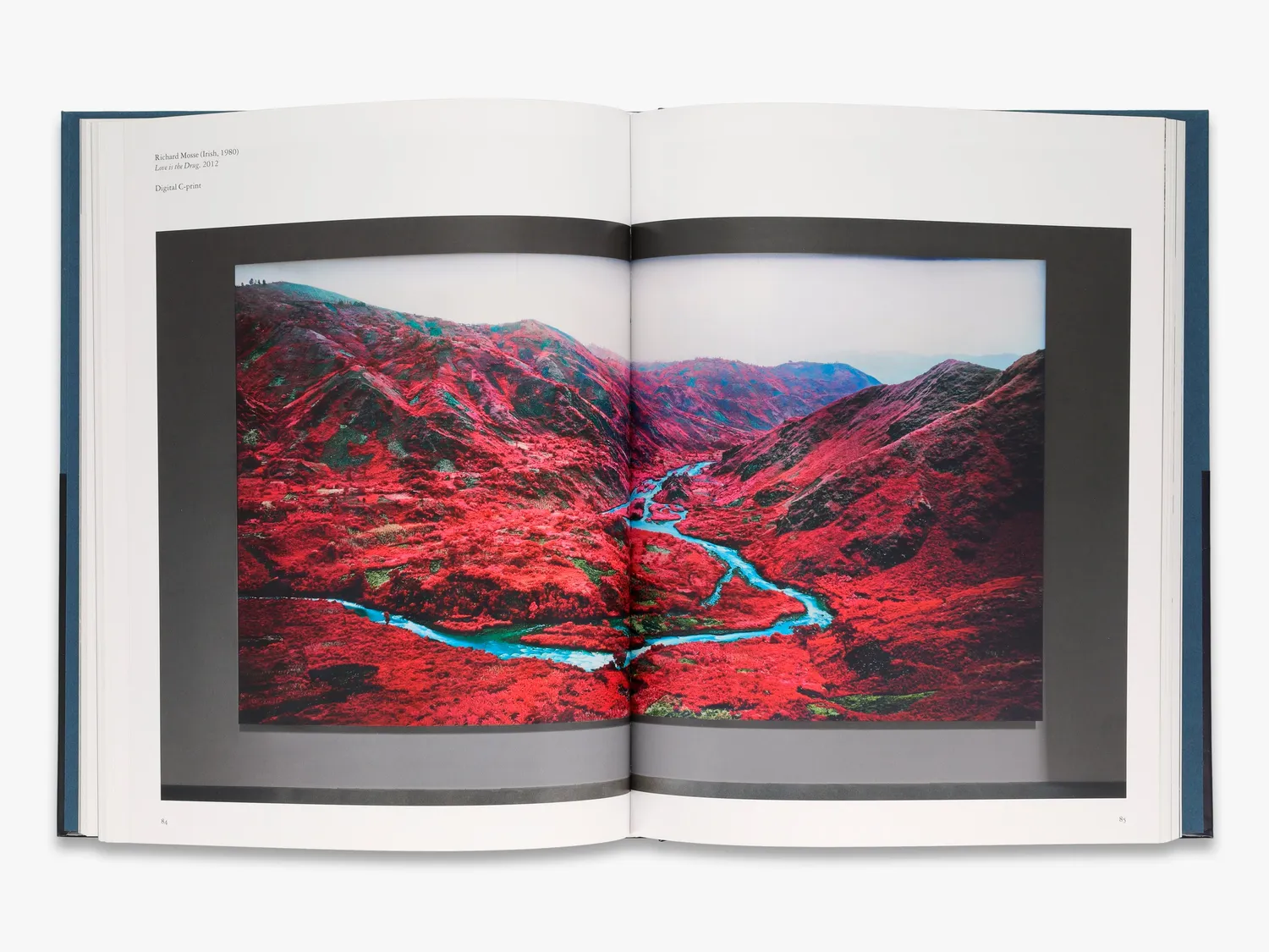 Thames & Hudson The Human Condition bog – mediekunst