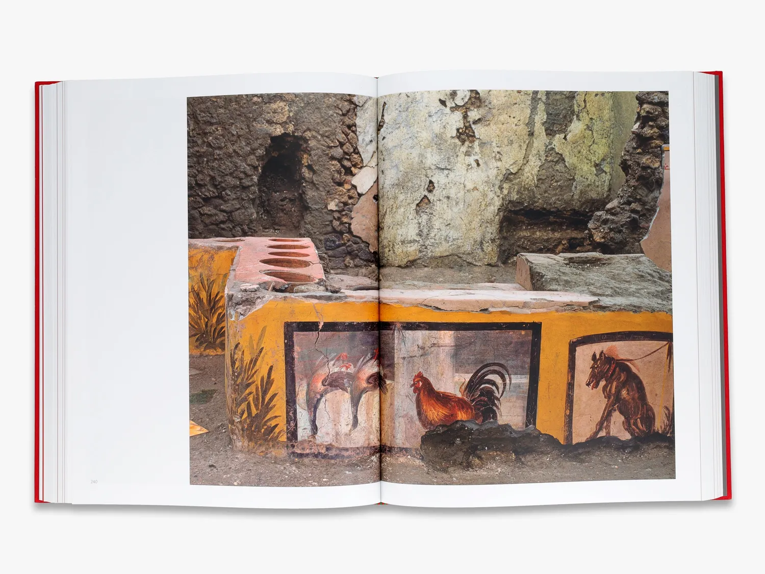 Thames & Hudson Inside Pompeii fotobog Luigi Spina
