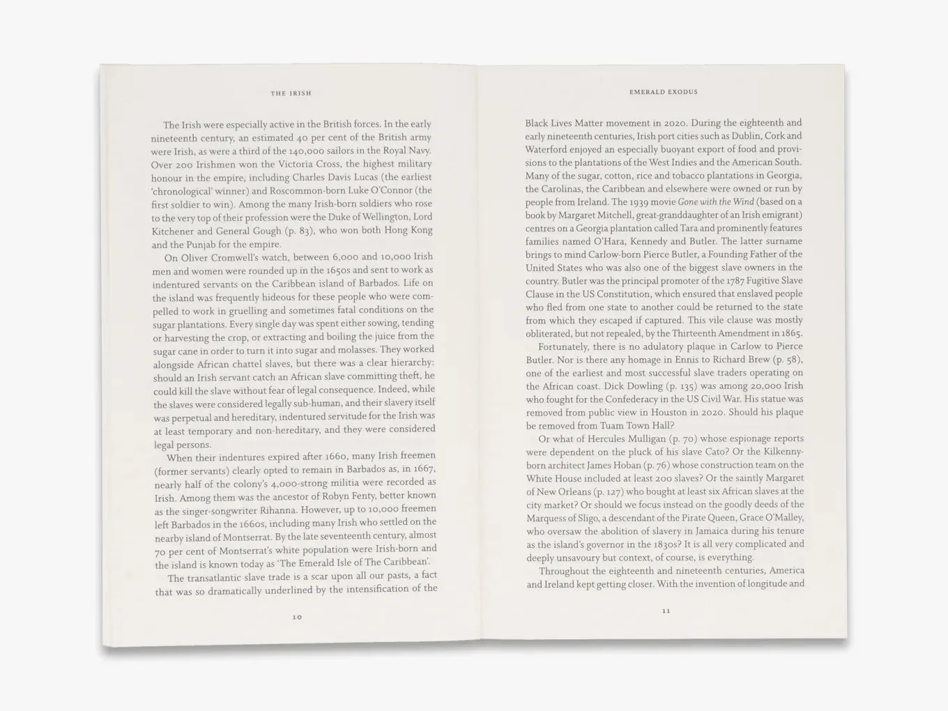Thames & Hudson The Irish bog – illustreret historiebog
