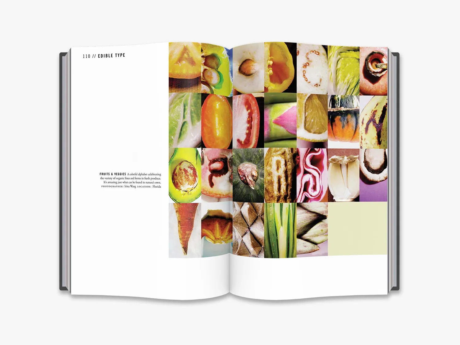 Thames & Hudson The Typographic Universe bog typografi