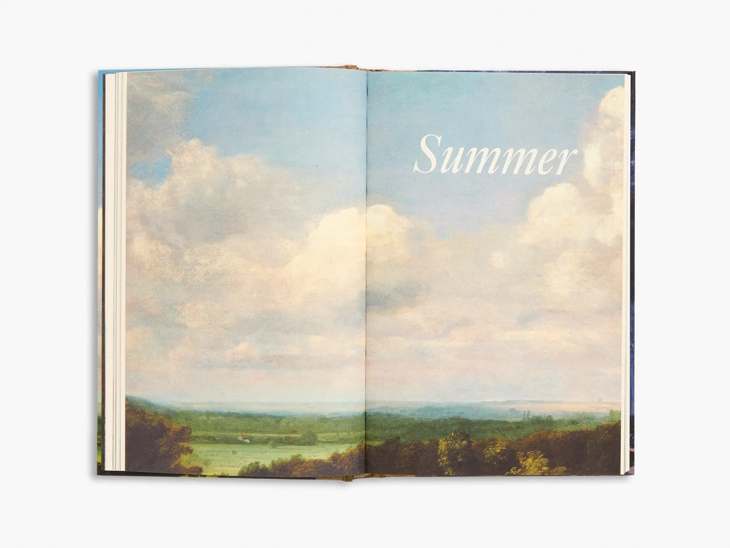 Thames & Hudson Constable's Year bog signeret Owens
