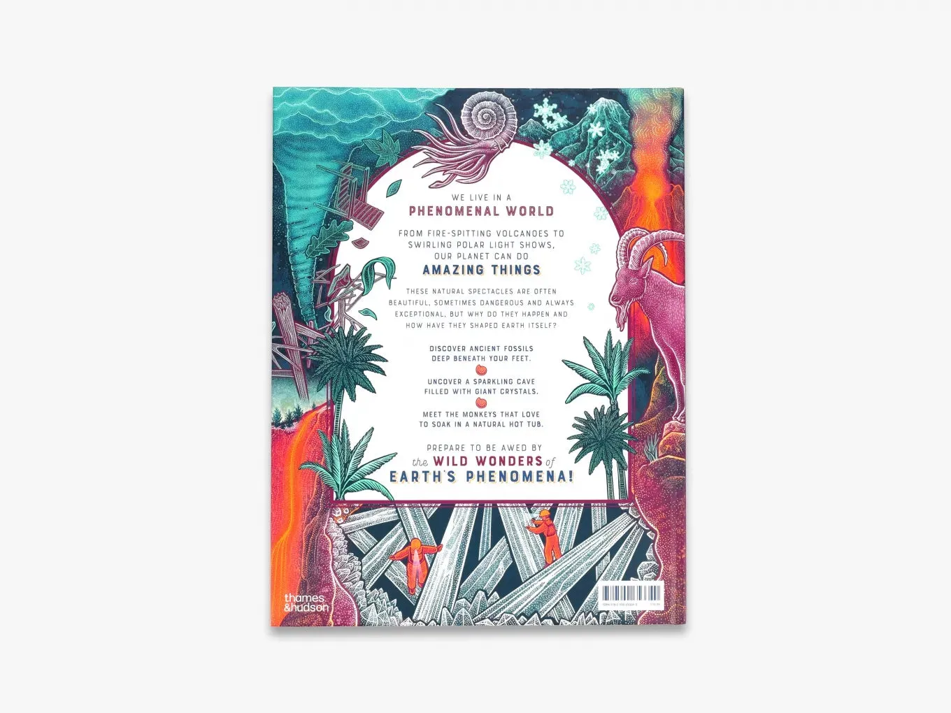 Thames & Hudson Wild Wonders Bang bog illustreret natur