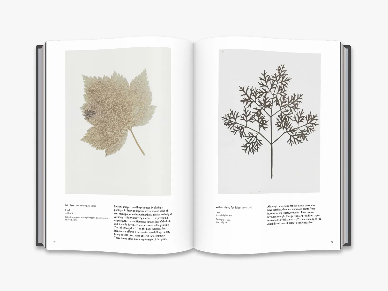 Thames & Hudson Cameraless Photography fotobog