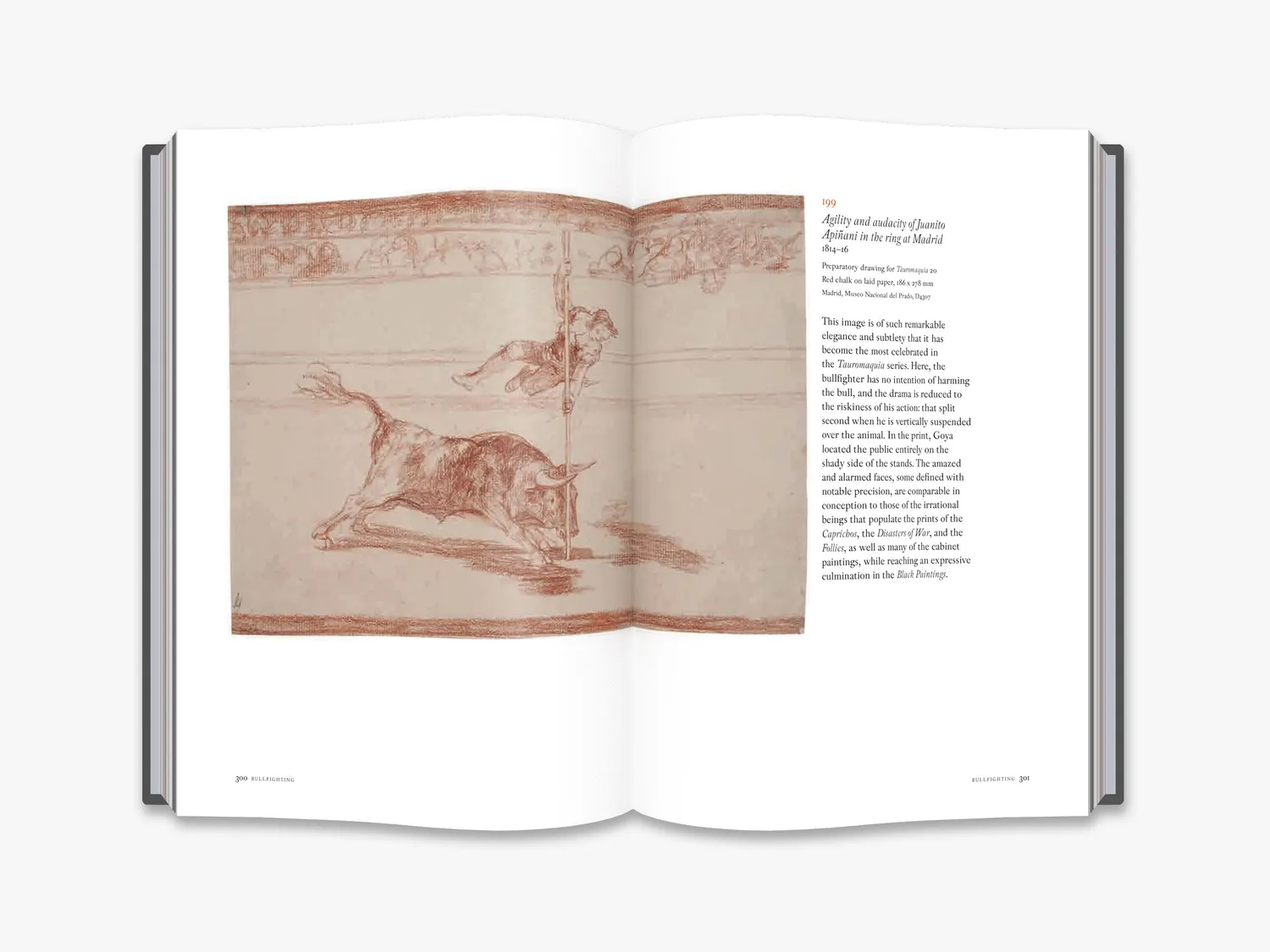 Thames & Hudson Goya Drawings kunstbog tegninger