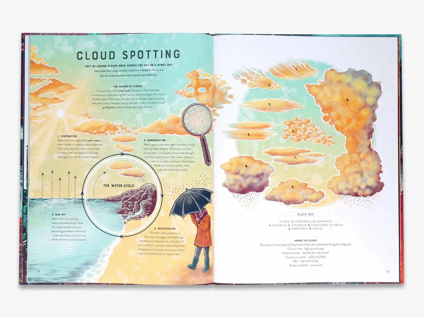Thames & Hudson Wild Wonders Bang bog illustreret natur