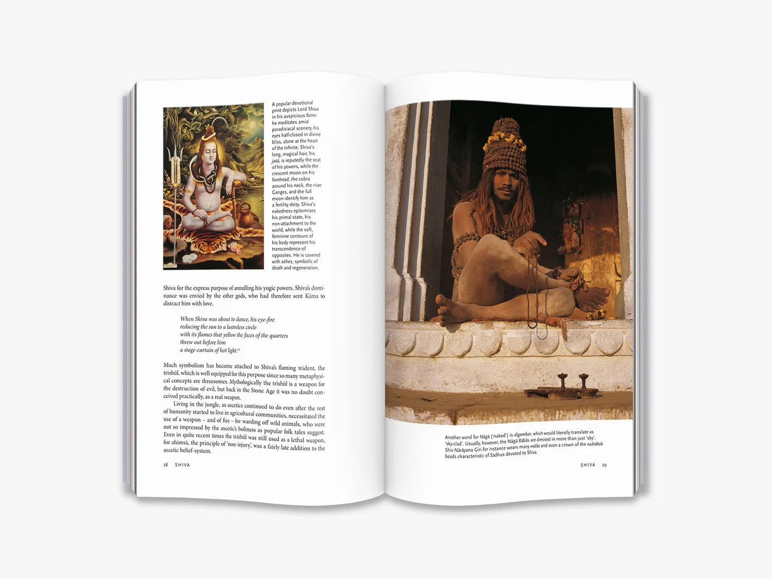 Thames & Hudson Sadhus fagbog Indien foto