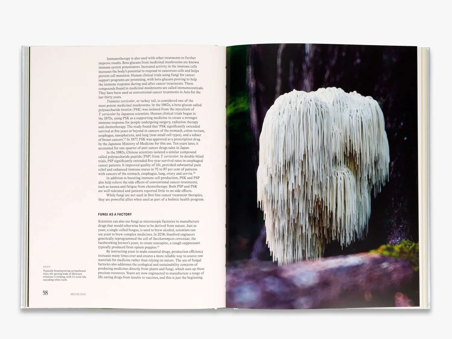 Thames & Hudson The Future is Fungi bog svampe