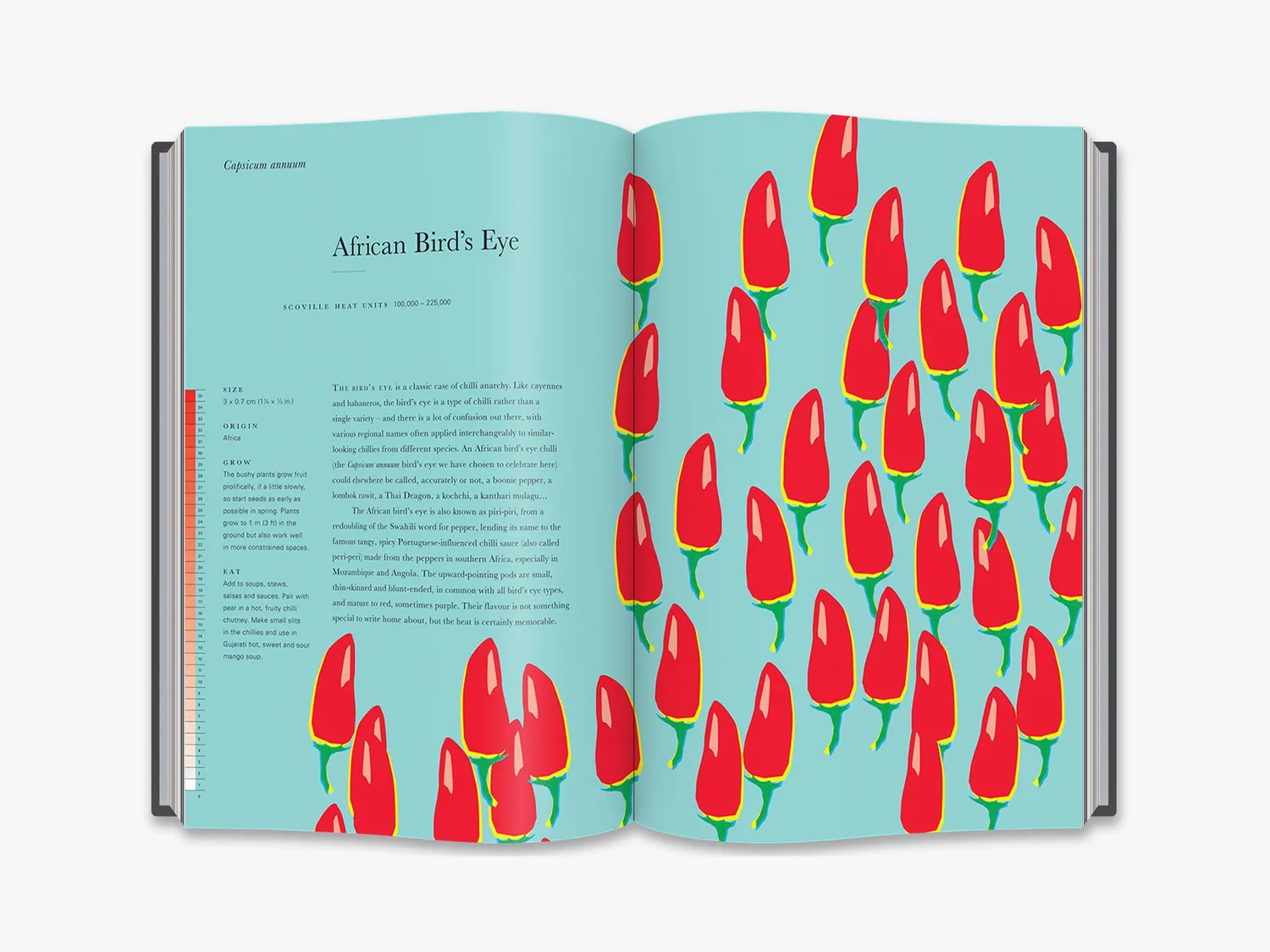 Thames & Hudson An Anarchy of Chillies bog chili kogebog