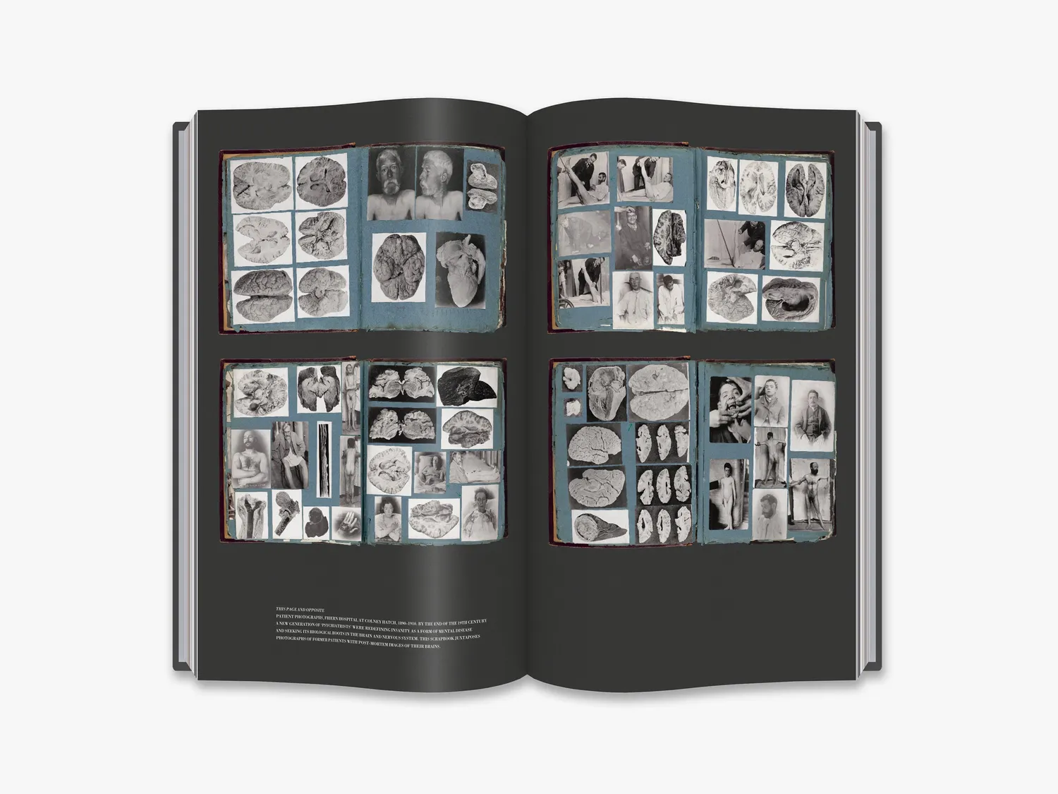 Thames & Hudson This Way Madness Lies fagbog – psykiatri