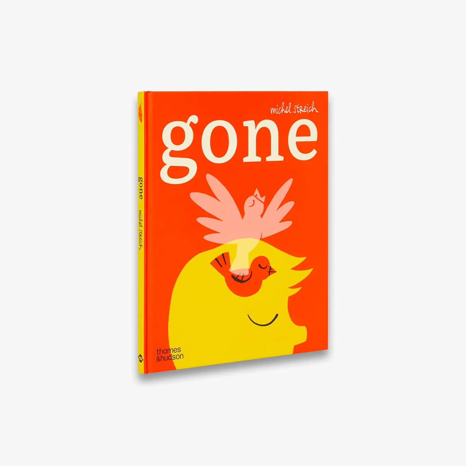 Thames & Hudson Gone billedbog Michel Streich sorg