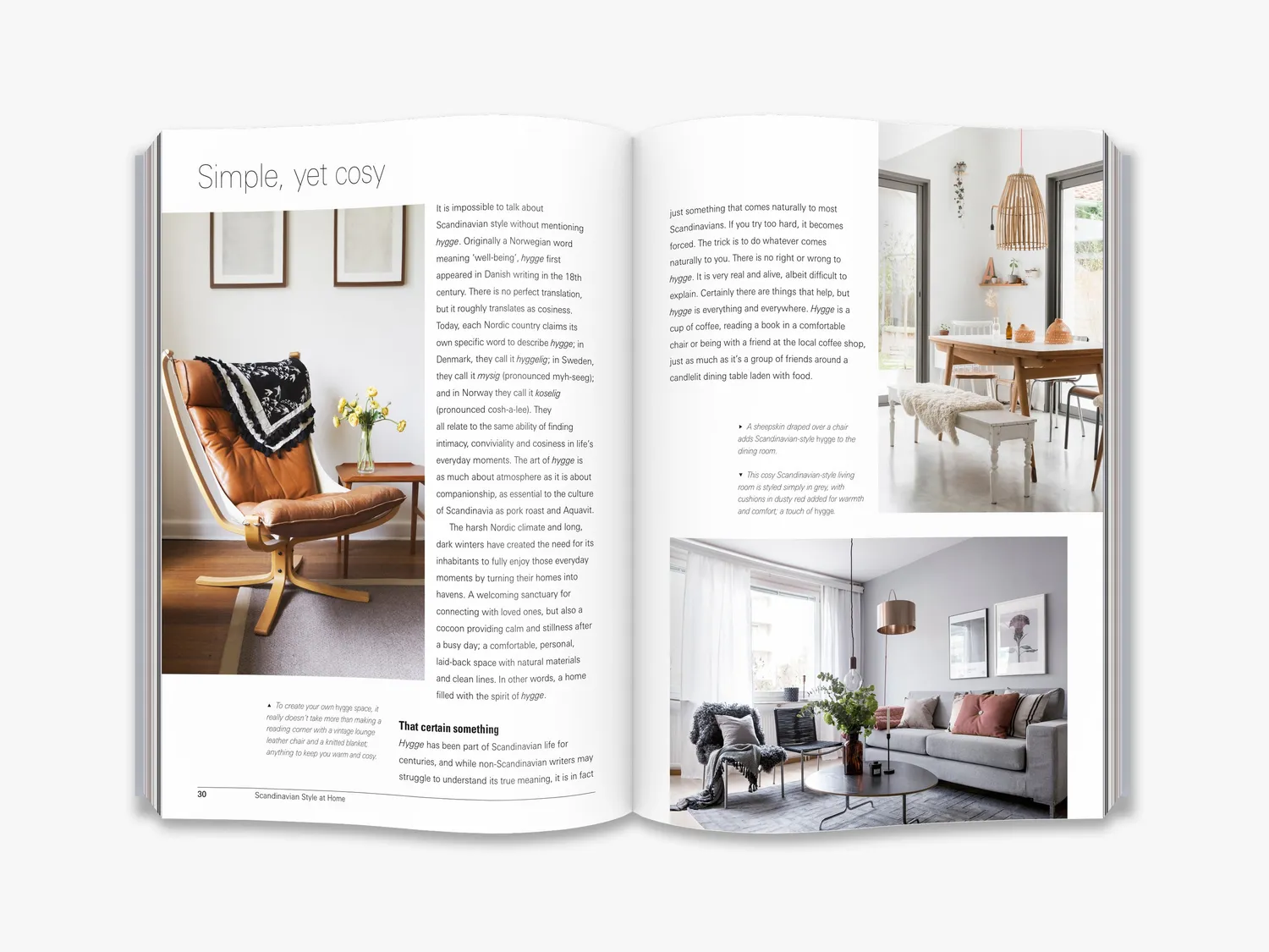 Thames & Hudson Scandinavian Style at Home boligbog