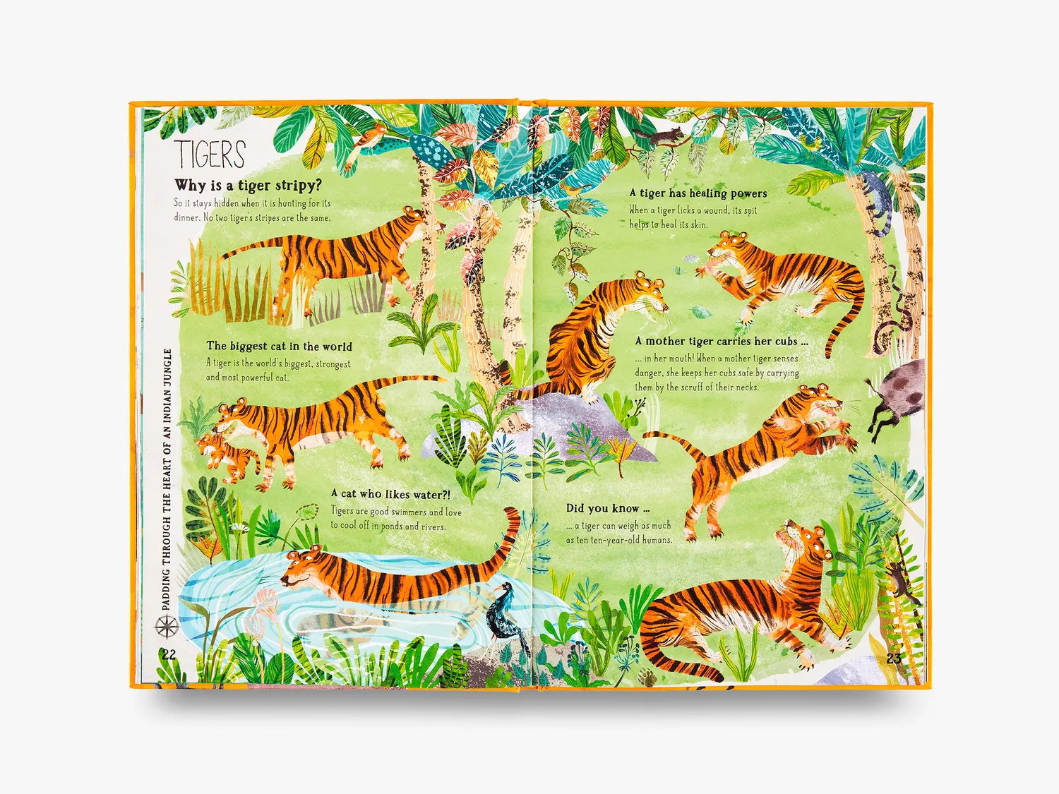 Thames & Hudson The Big Book of Beasts børnebog dyr