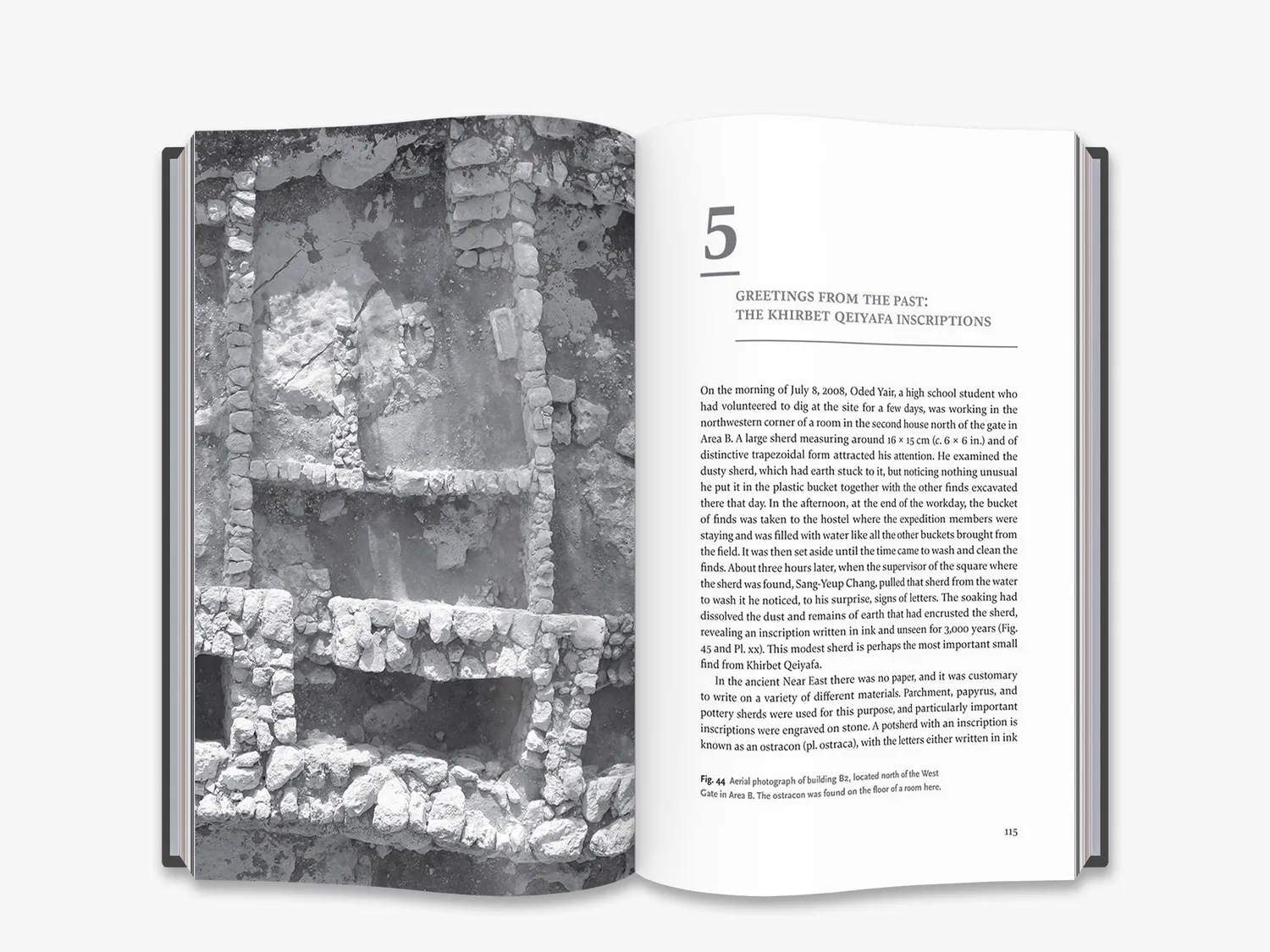 Thames & Hudson In the Footsteps of King David fagbog arkæologi