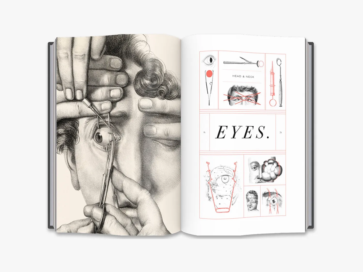 Thames & Hudson Crucial Interventions bog anatomi