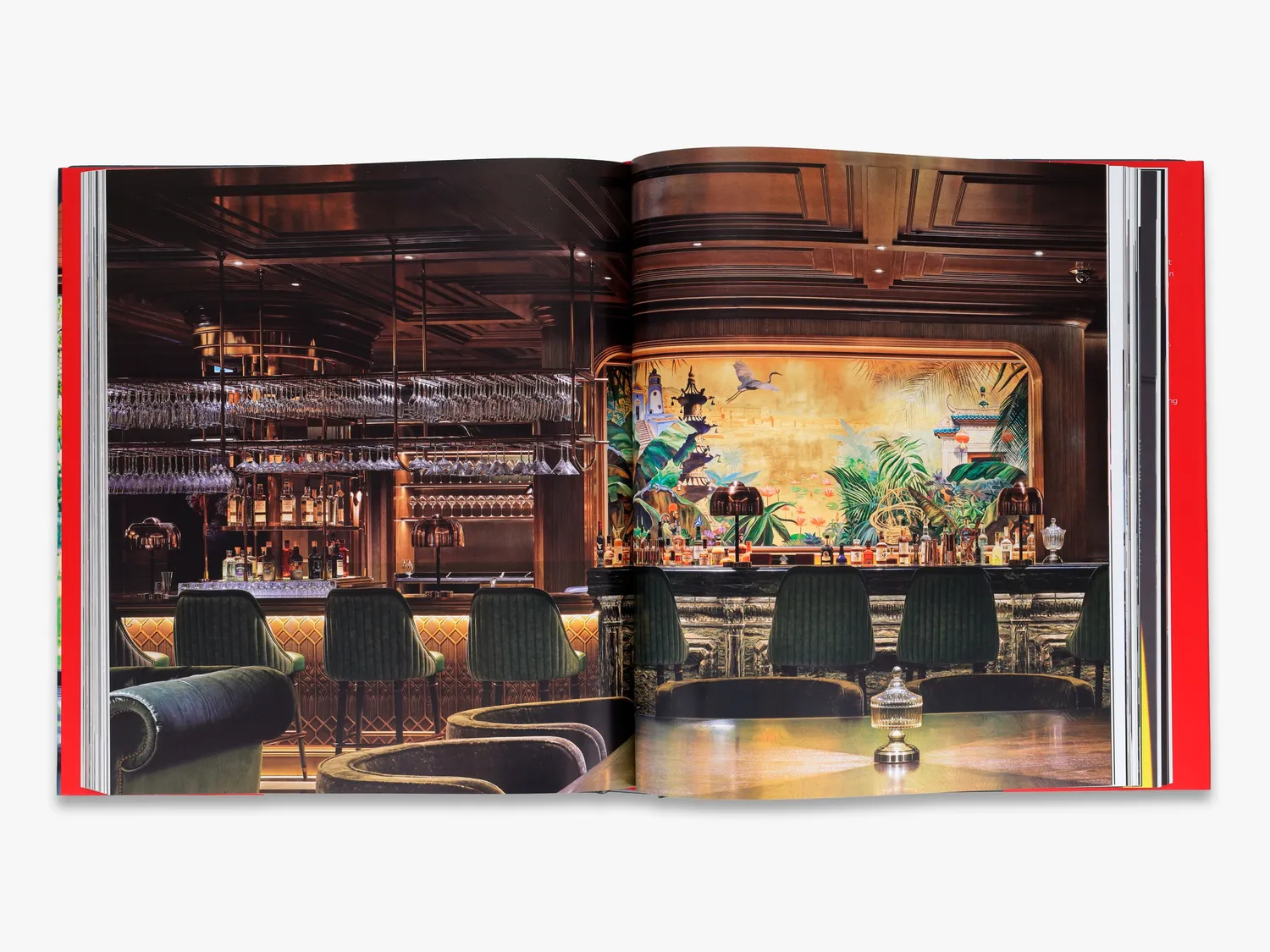 Thames & Hudson Steve Leung bog om arkitektur
