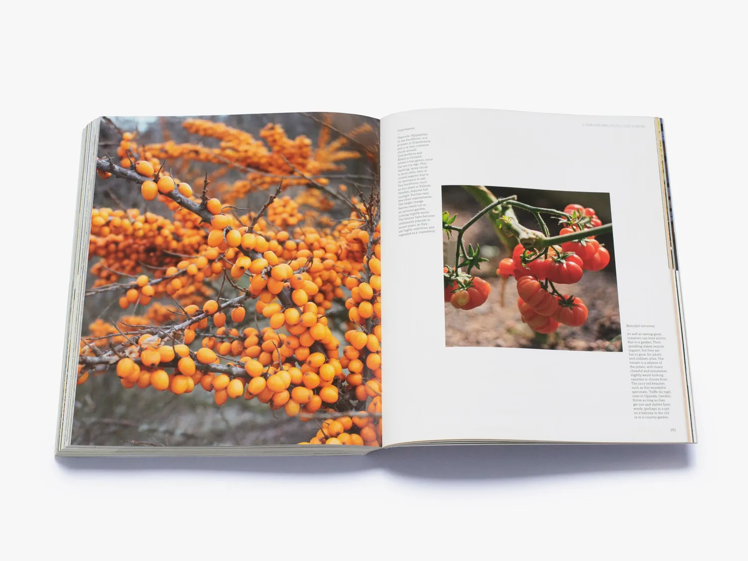 Thames & Hudson New Nordic Gardens bog haver