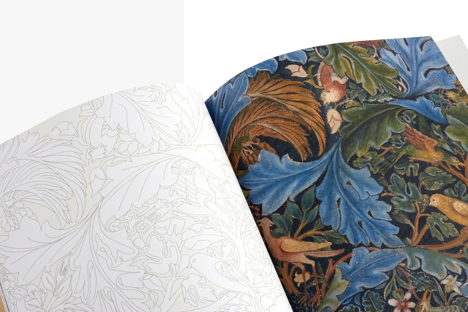 Thames & Hudson William Morris malebog V&A