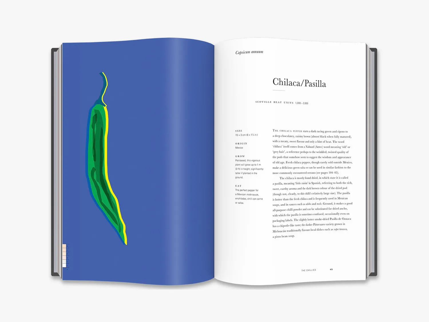 Thames & Hudson An Anarchy of Chillies bog chili kogebog