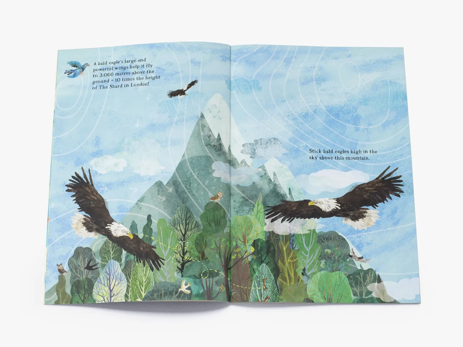Thames & Hudson Big Sticker Book of Birds klistermærkebog