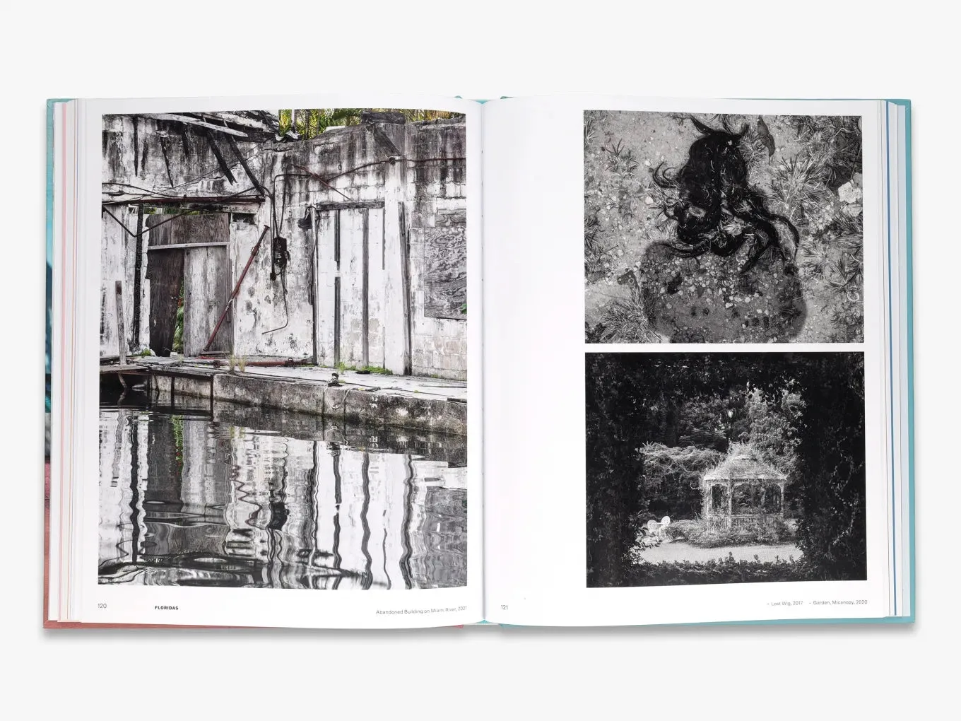 Thames & Hudson Anastasia Samoylova Adaptation fotobog illustreret