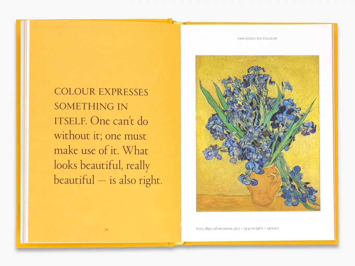 Thames & Hudson The World According to Vincent van Gogh bog