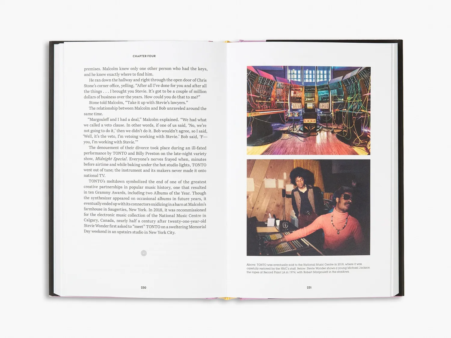 Thames & Hudson Buzz Me In bog Record Plant rockhistorie