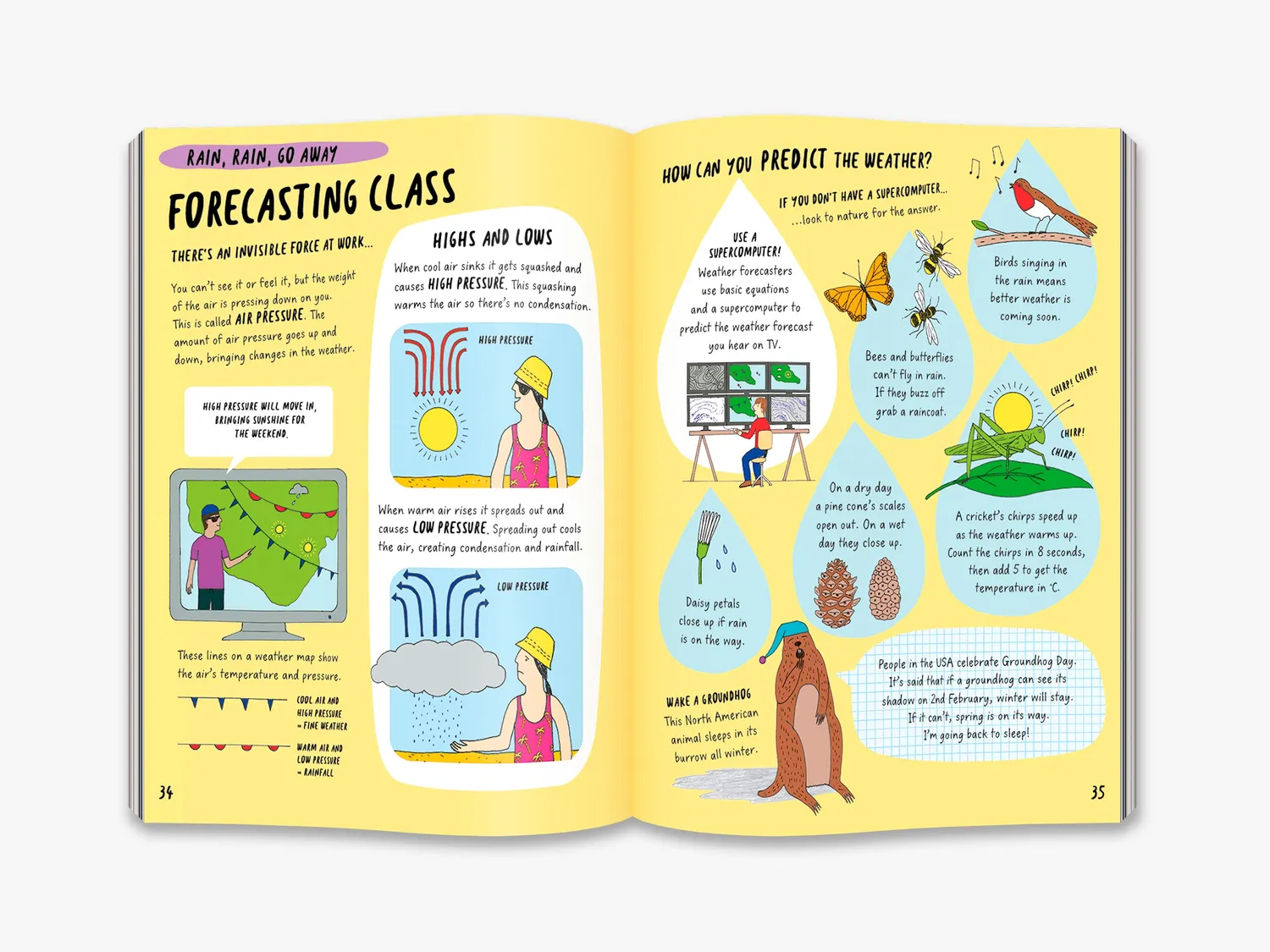 Thames & Hudson The Brainiac's Book of the Climate and Weather bog