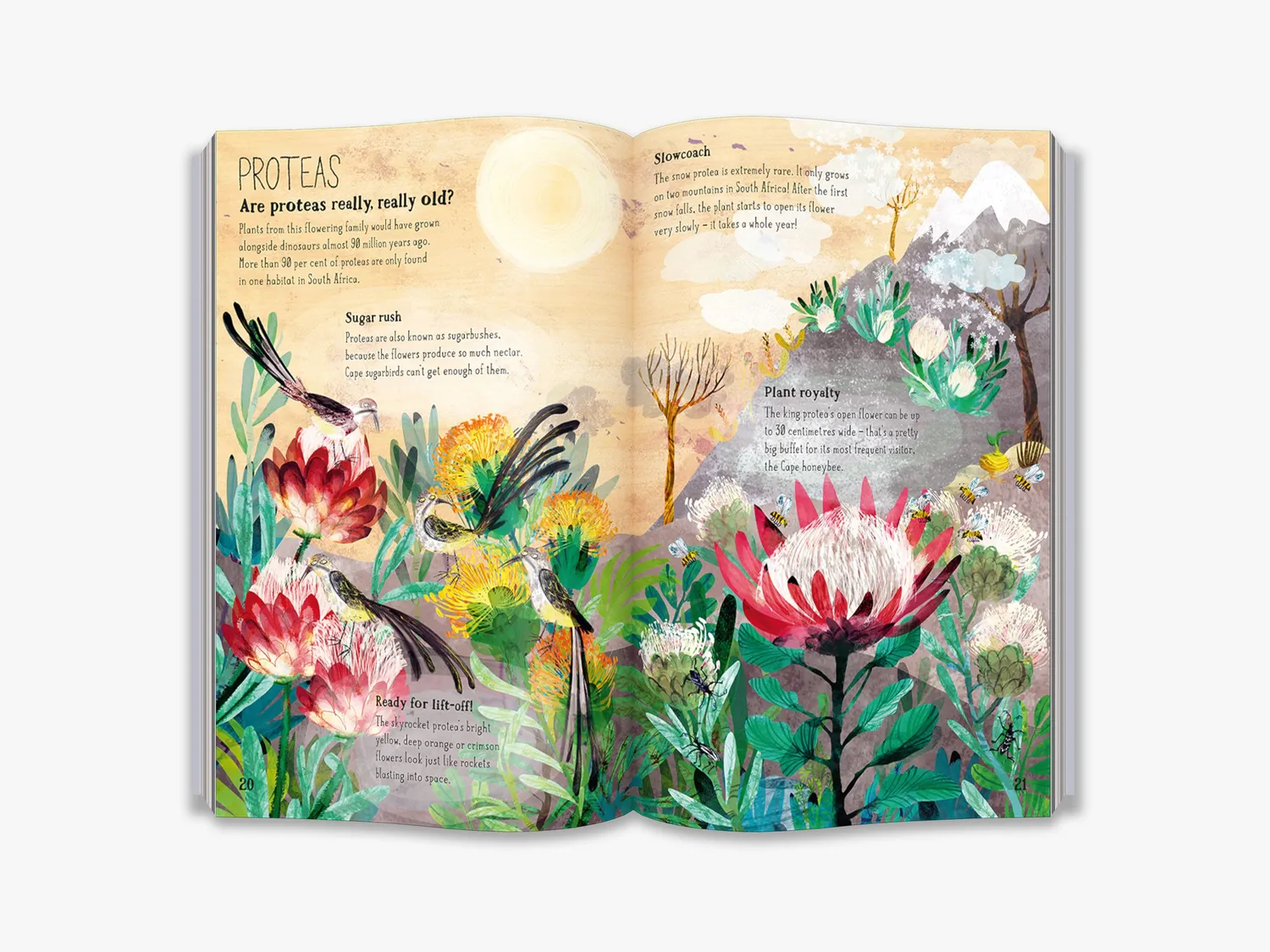 Thames & Hudson The Big Book of Blooms børnebog blomster