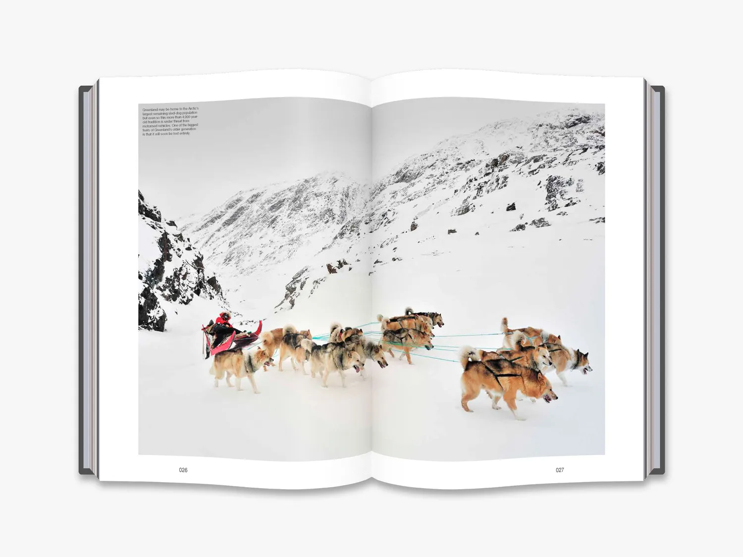 Thames & Hudson The Monocle Book of the Nordics bog om Norden