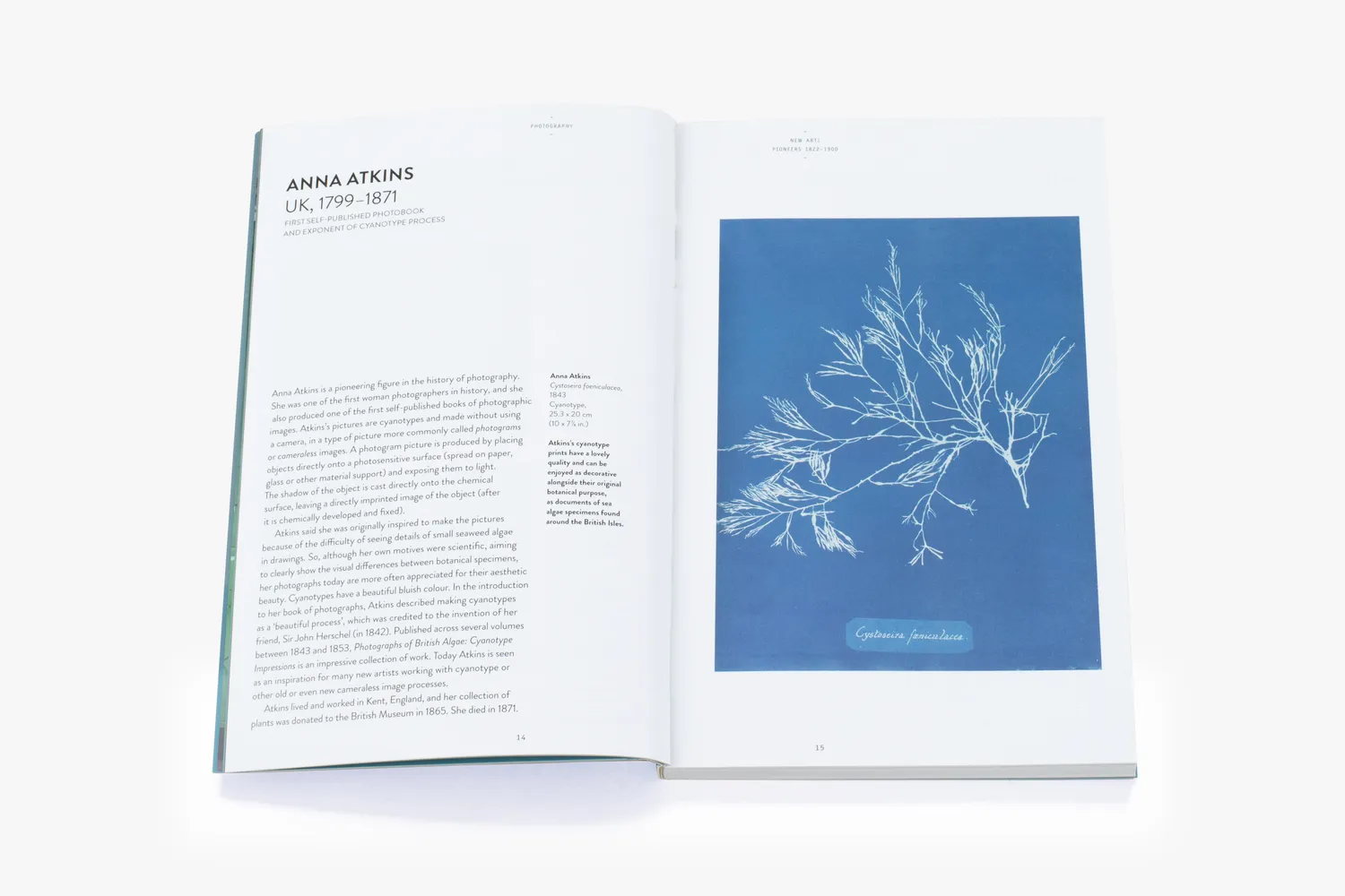 Thames & Hudson Photography Art Essentials bog foto