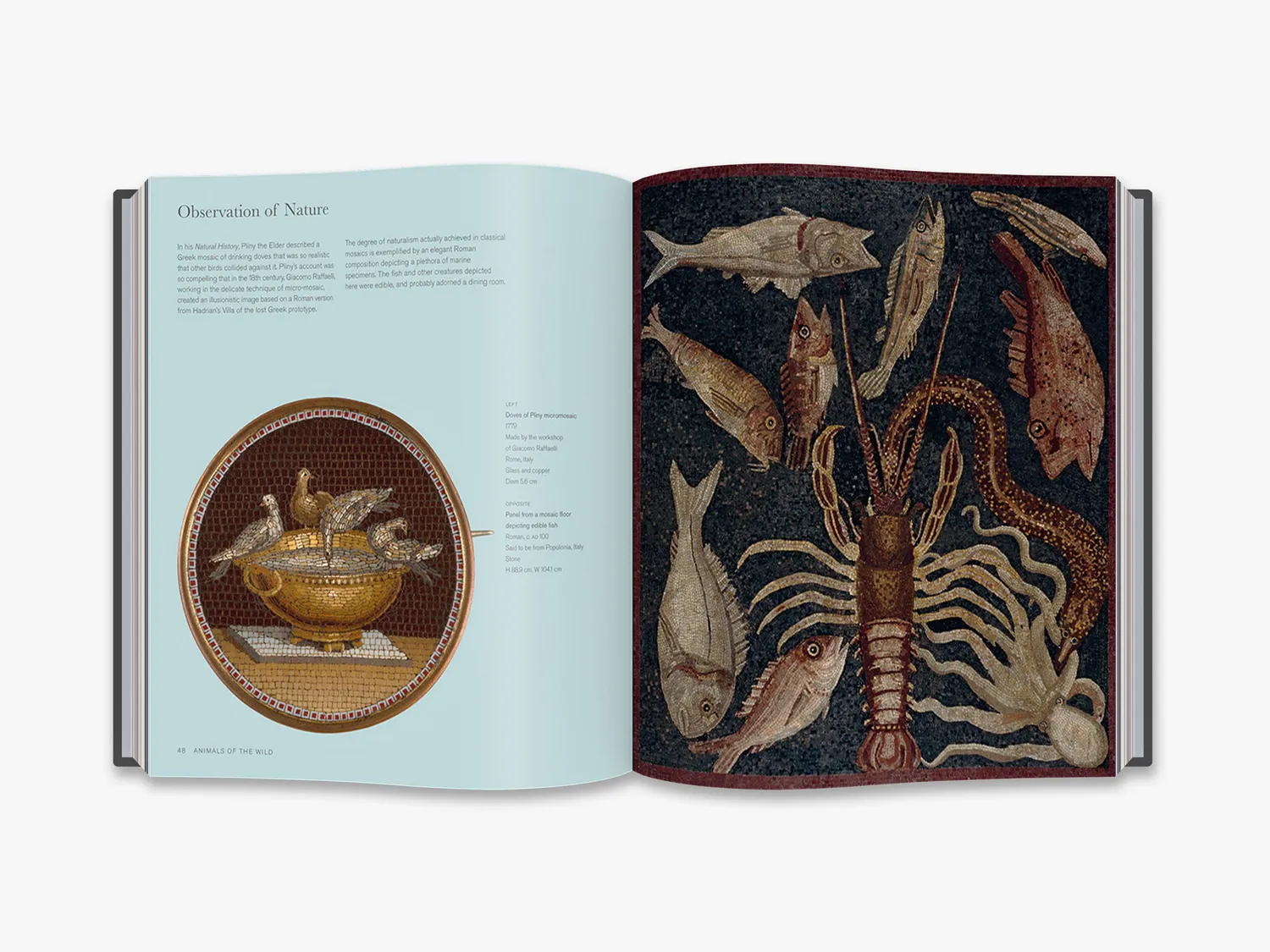 Thames & Hudson Bestiary fagbog dyr