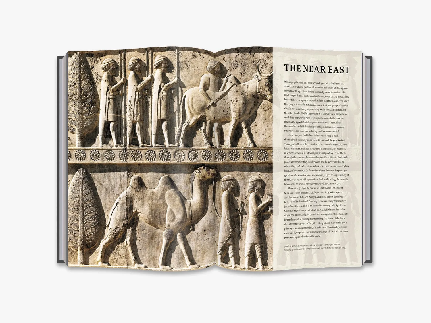 Thames & Hudson Cities That Shaped Ancient World historiebog