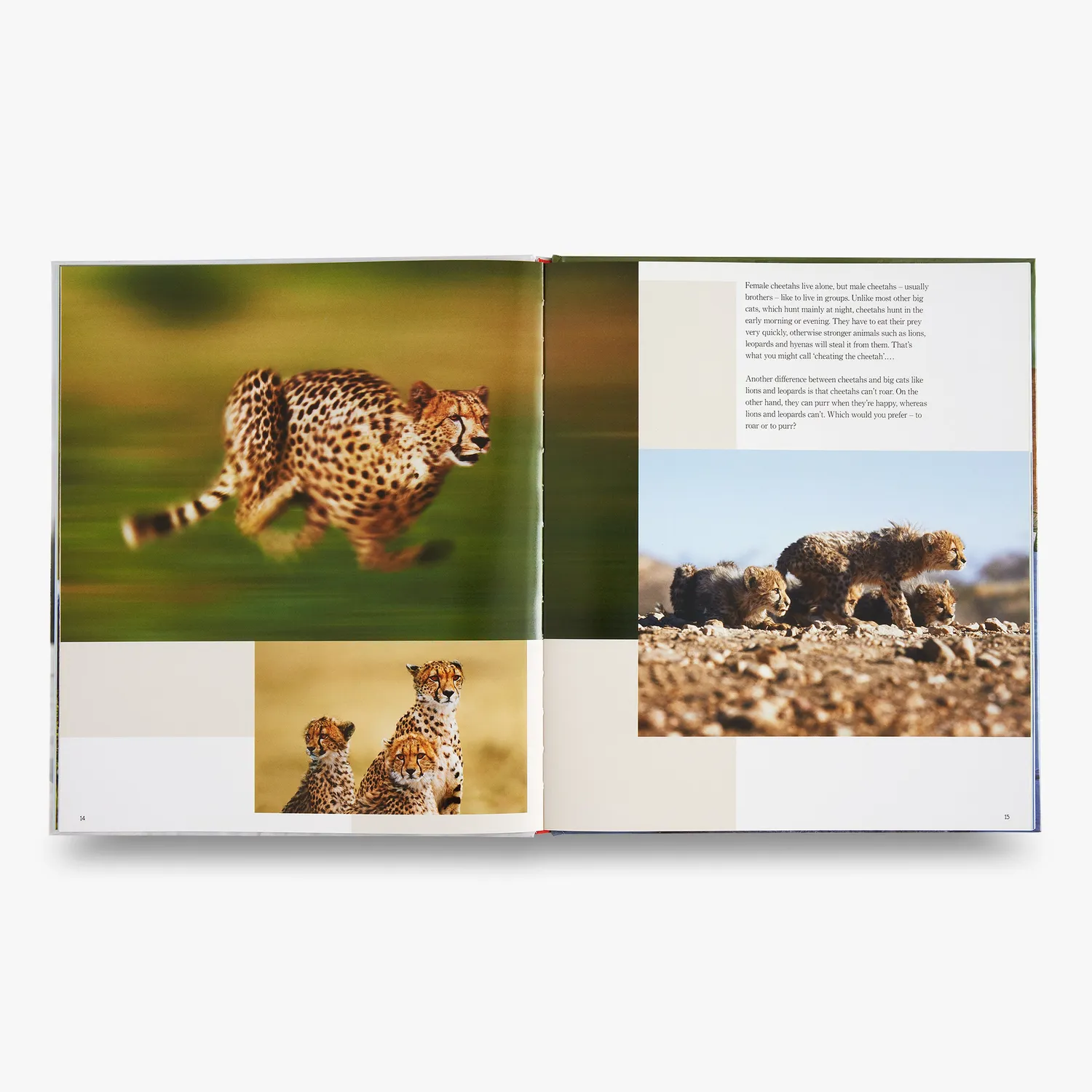 Thames & Hudson My Favourite Animal Families børnebog om dyreunger