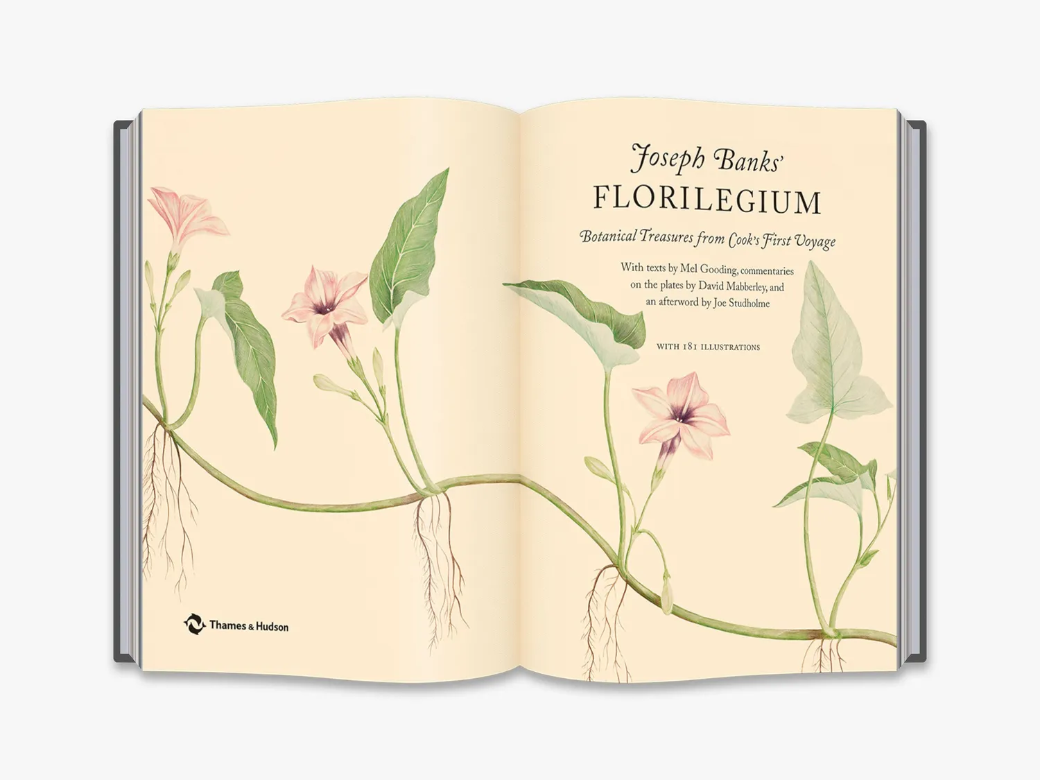 Thames & Hudson Joseph Banks Florilegium botanikbog illustreret